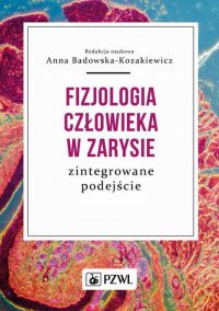 Fizjologia człowieka w zarysie - Anna Badowska-Kozakiewicz - ebook