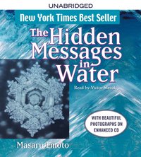 Hidden Messages in Water - Masaru Emoto - audiobook
