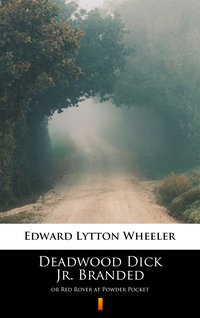 Deadwood Dick Jr. Branded - Edward Lytton Wheeler - ebook