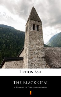The Black Opal - Fenton Ash - ebook