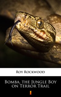 Bomba, the Jungle Boy on Terror Trail - Roy Rockwood - ebook