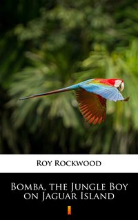 Bomba, the Jungle Boy on Jaguar Island - Roy Rockwood - ebook