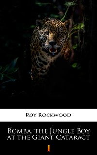 Bomba, the Jungle Boy at the Giant Cataract - Roy Rockwood - ebook