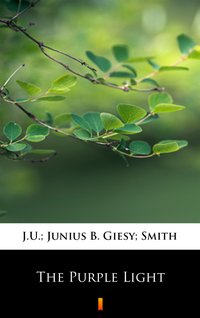 The Purple Light - J.U. Giesy - ebook
