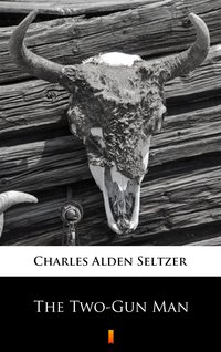 The Two-Gun Man - Charles Alden Seltzer - ebook