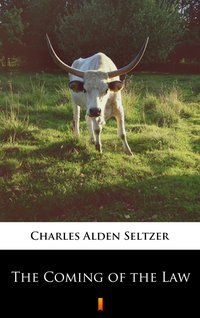 The Coming of the Law - Charles Alden Seltzer - ebook