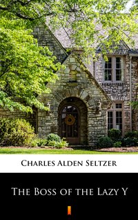 The Boss of the Lazy Y - Charles Alden Seltzer - ebook