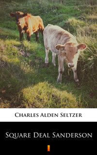 Square Deal Sanderson - Charles Alden Seltzer - ebook