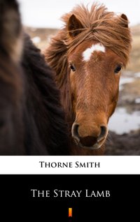 The Stray Lamb - Thorne Smith - ebook