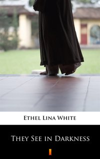 They See in Darkness - Ethel Lina White - ebook