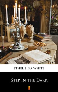 Step in the Dark - Ethel Lina White - ebook