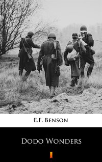 Dodo Wonders - E.F. Benson - ebook
