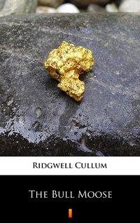 The Bull Moose - Ridgwell Cullum - ebook