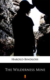 The Wilderness Mine - Harold Bindloss - ebook