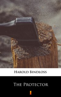 The Protector - Harold Bindloss - ebook