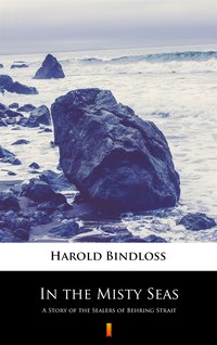 In the Misty Seas - Harold Bindloss - ebook