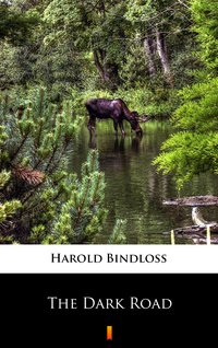 The Dark Road - Harold Bindloss - ebook