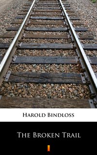 The Broken Trail - Harold Bindloss - ebook