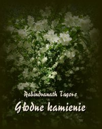 Głodne kamienie - Rabindranath Tagore - ebook