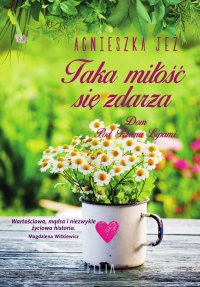 Taka miłość się zdarza - Agnieszka Jeż - ebook