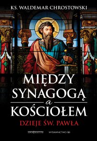 Między Synagogą i Kościołem. Dzieje św. Pawła - prof. Waldemar Chrostowski - ebook
