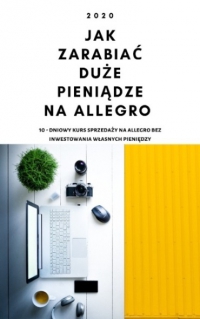 Jak zarabiać duże pieniądze na Allegro - Jakub Kustra - ebook