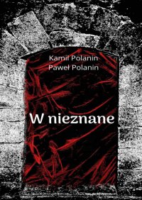 W nieznane - Kamil Polanin - ebook