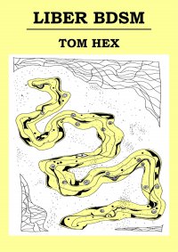 Liber BDSM - Tom Hex - ebook