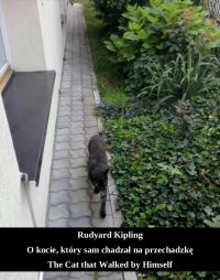 O kocie, który sam chadzał na przechadzkę. The Cat that Walked by Himself - Rudyard Kipling - ebook