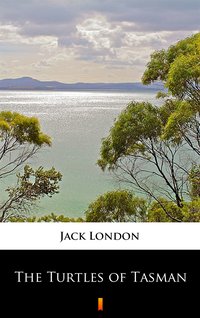The Turtles of Tasman - Jack London - ebook