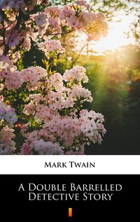 A Double Barrelled Detective Story - Mark Twain - ebook