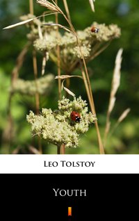 Youth - Leo Tolstoy - ebook