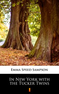 In New York with the Tucker Twins - Emma Speed Sampson - ebook