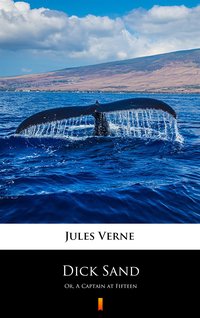 Dick Sand - Jules Verne - ebook