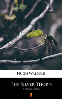 The Silver Thorn - Hugh Walpole - ebook