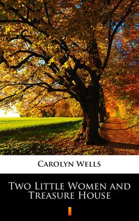 Two Little Women and Treasure House - Carolyn Wells - ebook