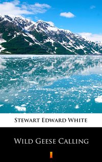 Wild Geese Calling - Stewart Edward White - ebook
