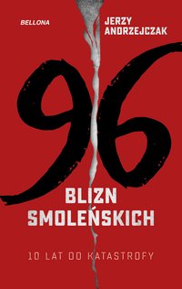 96 blizn - 10 lat od katastrofy smoleńskiej - Jerzy Andrzejczak - ebook
