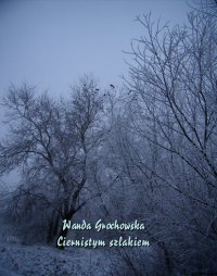 Ciernistym szlakiem. Opowiadanie z czasów prześladowania Unii - Wanda Grochowska - ebook