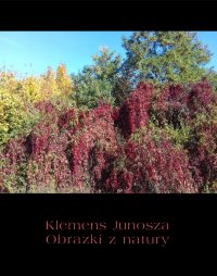 Obrazki z natury - Klemens Junosza - ebook