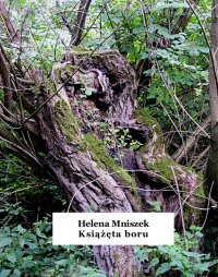 Książęta boru - Helena Mniszek - ebook