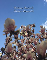 Kwiat magnolii - Helena Mniszek - ebook