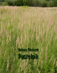 Pustelnik - Helena Mniszek - ebook