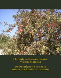 Doświadczone sekreta smażenia konfitur i soków - Florentyna Niewiarowska - ebook