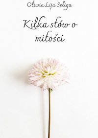 Kilka słów o miłości - Oliwia Seliga - ebook