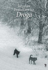 Droga. Proza i wiersze - Jarosław Iwaszkiewicz - ebook