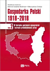 Gospodarka Polski 1918-2018. Tom 2 - Michał Gabriel Woźniak - ebook