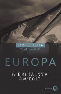 Europa w brutalnym świecie - Sebastien Maillard - ebook