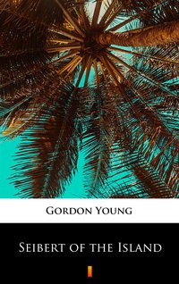 Seibert of the Island - Gordon Young - ebook
