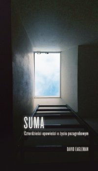 Suma. Czterdzieści opowieści o życiu pozagrobowym - David Eagleman - ebook
